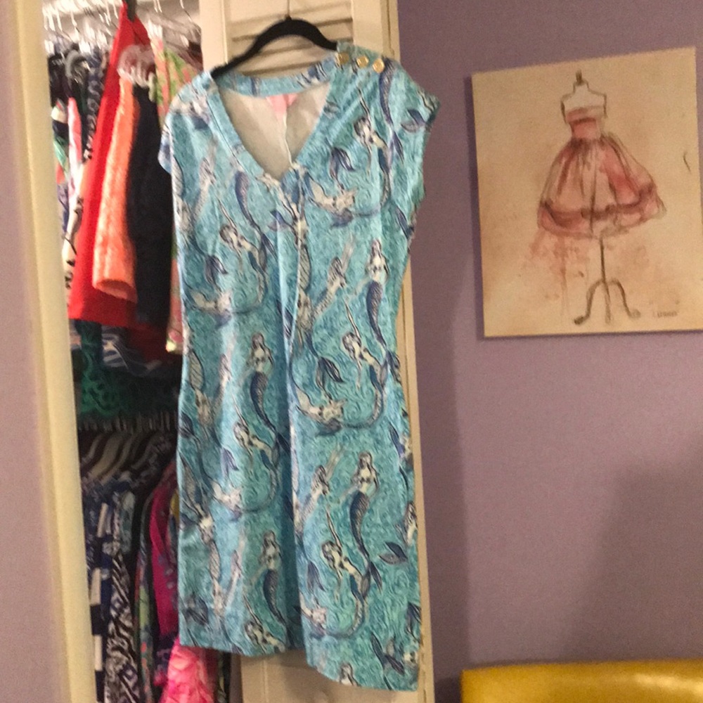 Hayley dress nice tails size m